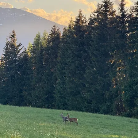 Ubytování v soukromí Bohringerhof- Gemuetliches Im Zillertal *